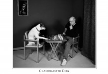 Grandmaster Dog (shotbyrick.com)