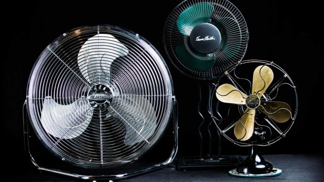 My 3 Fans